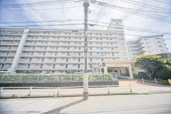 《新規リフォーム物件》
■JR総武線「新小岩」駅徒歩11分
■ペット飼育可（細則あり）
■スーパー、コンビニなどの買い物施設まで徒歩10分圏内につき、買い物に便利です
