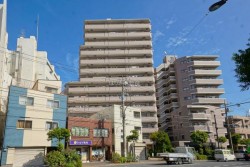 ■新規内装リノベーションマンション!(2025年10月17日完成済み)
■7階部分3LDK
■家具・エアコン付き物件です♪