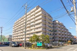 ■家族みんなが、のびのび暮らせる。フルリノベーション4LDK。
■角部屋ならではの全室採光、
■ペットに負担が少ない床材選定しています。