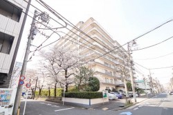 ■都営大江戸線「両国」駅徒歩6分 
■JR 総武線「両国」駅13分
■ペット飼育 / 可（飼育細則有）
■システムキッチン新規交換 (食洗機・浄水器一体型水栓付き）

