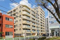 ■新規フルリノベーション
■4沿線利用可能
■約28帖のリビング空間は、南向きで日当たり良好です。
■「両国」駅と「錦糸町」駅を使いこなせる利便性の高い立地。
