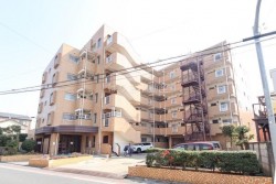 ■京成本線 お花茶屋 徒歩7分
■駐輪場、バイク置き場、エレベータ付き
■2018年規模修繕工事完了
■豊富な収納スペース、環境便利性良い