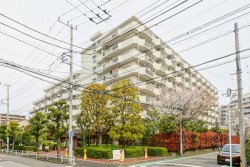 ■新規リノベーション物件(令和8年6月下旬完了予定)
■#6階部分・南向き陽当り良好
■ペット飼育可(細則有)
■エレベーター有