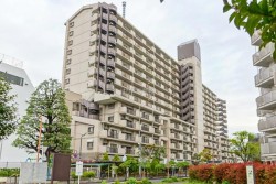 ■令和３年１２月フルリノベーション履歴あり
■南・東・西の三方角部屋
■バルコニーからはスカイツリーと隅田川花火の眺望
■２８２戸のビッグコミュニティ・整備された街路
