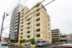 ■新規リノベーション物件（令和8年7月下旬完成予定）
■JR総武本線「新小岩駅　徒歩20分
■角部屋、1台無償の専用使用権付駐車場あり
■ペット飼育可(細則有)