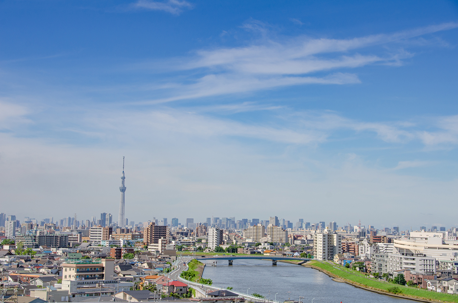 この街の事は全部知ってます。